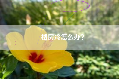 楼房冷怎么办？