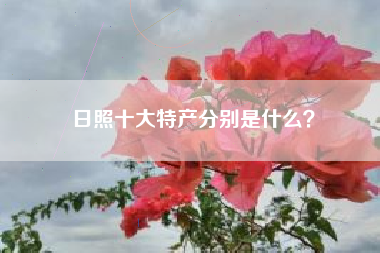 日照十大特产分别是什么？