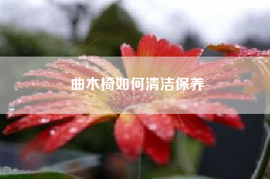 曲木椅如何清洁保养