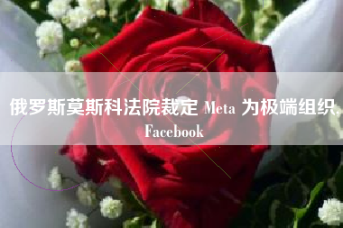 俄罗斯莫斯科法院裁定 Meta 为极端组织,Facebook