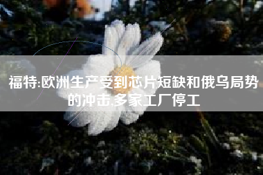 福特:欧洲生产受到芯片短缺和俄乌局势的冲击,多家工厂停工