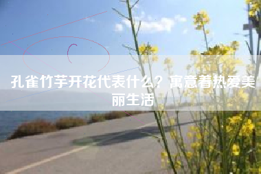 孔雀竹芋开花代表什么？寓意着热爱美丽生活