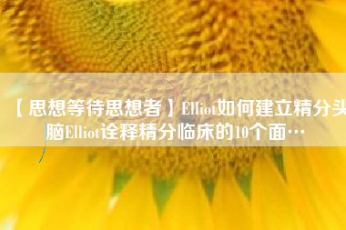 【思想等待思想者】Elliot如何建立精分头脑Elliot诠释精分临床的10个面…