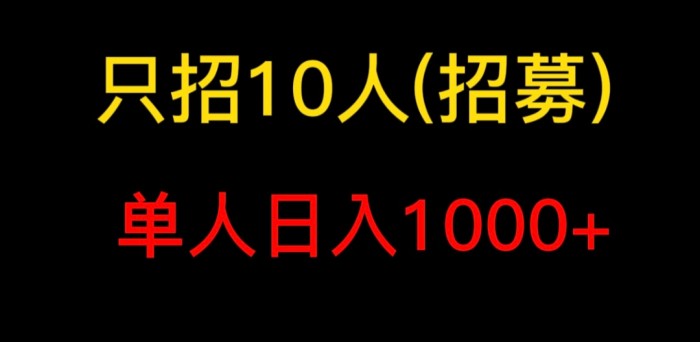 懒人领域《头条项目玩法教学》