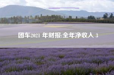 团车2021 年财报:全年净收入 3