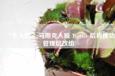 “木头姐”:马斯克入股 Twitter 后将推动管理层改组