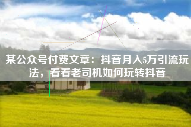 某公众号付费文章：抖音月入5万引流玩法，看看老司机如何玩转抖音