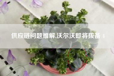 供应链问题难解,沃尔沃即将拨备 4