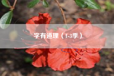 字有道理（1-3季）