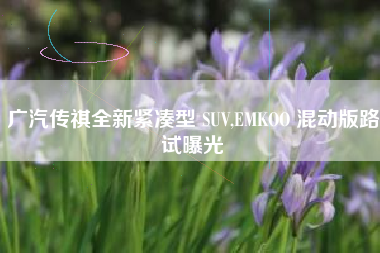 广汽传祺全新紧凑型 SUV,EMKOO 混动版路试曝光