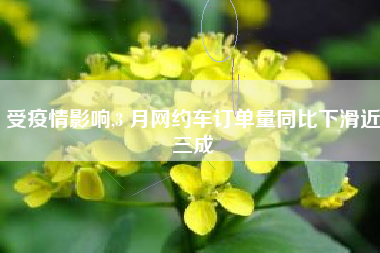 受疫情影响,3 月网约车订单量同比下滑近三成