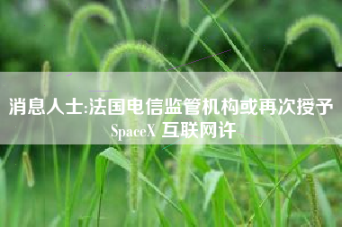 消息人士:法国电信监管机构或再次授予 SpaceX 互联网许