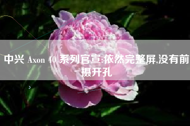 中兴 Axon 40 系列官宣:依然完整屏,没有前摄开孔