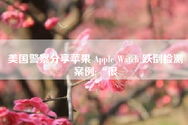 美国警察分享苹果 Apple Watch 跌倒检测案例:“很