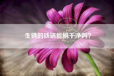 生锈的铁锅能刷干净吗？