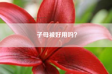 子母被好用吗？