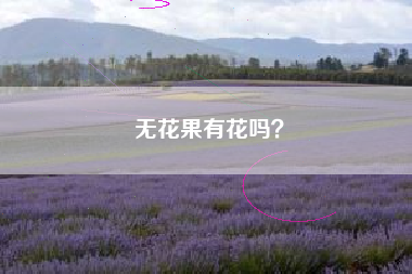 无花果有花吗？