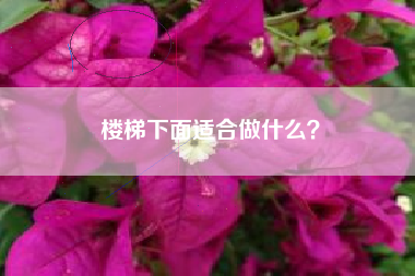 楼梯下面适合做什么？