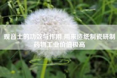 观音土的功效与作用 用来造纸制瓷研制药物工业价值极高