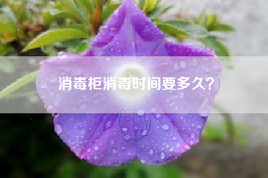 土培的花卉能用营养液吗？滥用营养液再好的花都会烧死