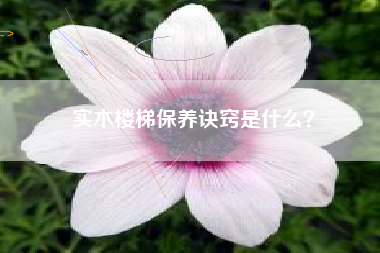 实木楼梯保养诀窍是什么？