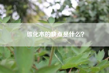 碳化木的缺点是什么？