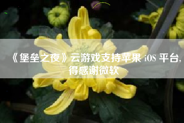 《堡垒之夜》云游戏支持苹果 iOS 平台,得感谢微软