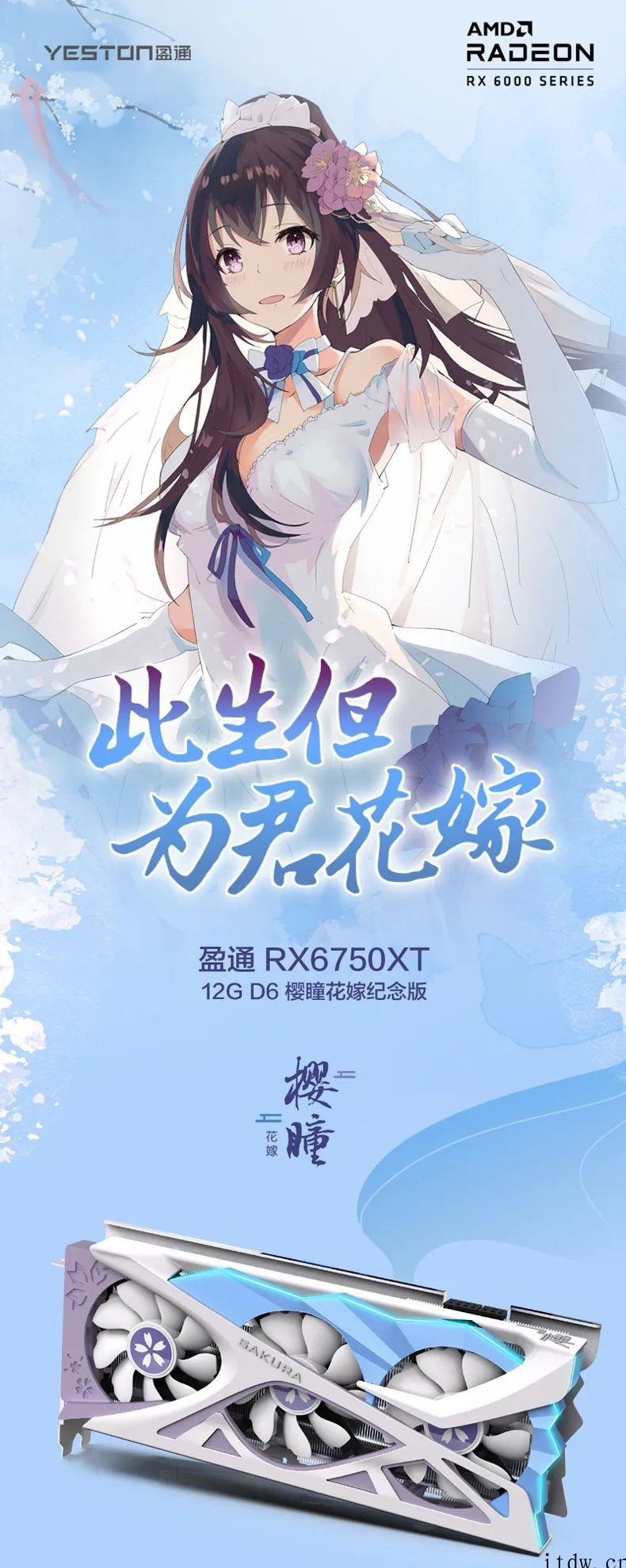 盈通发布樱瞳花嫁纪念版 RX 6750 XT 显卡,售价 4