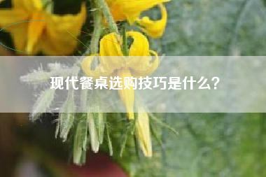 现代餐桌选购技巧是什么？