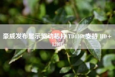 豪威发布显示驱动芯片 TD4160,支持 HD+ 120Hz