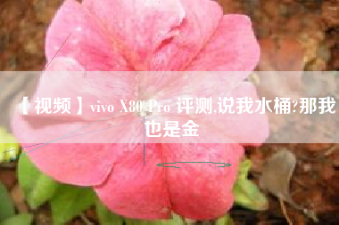 【视频】vivo X80 Pro 评测,说我水桶?那我也是金