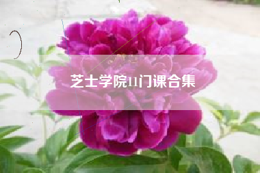 芝士学院11门课合集