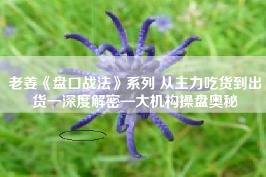 老姜《盘口战法》系列 从主力吃货到出货一深度解密—大机构操盘奥秘