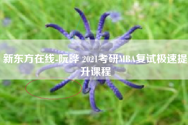 新东方在线-阮晔 2021考研MBA复试极速提升课程