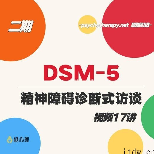 咨询师刚需课：DSM-5和精神障碍诊断式访谈 | 系列视频17讲 11个真实案例 教你做诊断 视频课