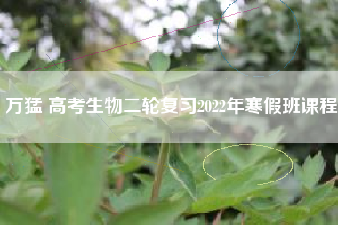 万猛 高考生物二轮复习2022年寒假班课程