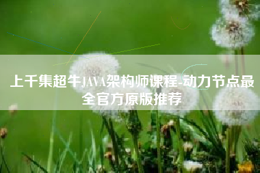 上千集超牛JAVA架构师课程-动力节点最全官方原版推荐