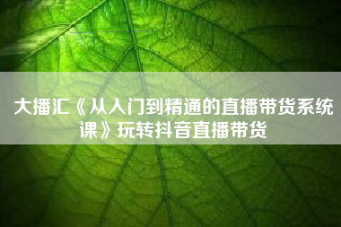 大播汇《从入门到精通的直播带货系统课》玩转抖音直播带货