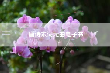 唐诗宋词元曲电子书