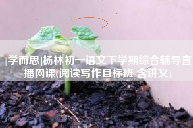 [学而思]杨林初一语文下学期综合辅导直播网课(阅读写作目标班 含讲义)