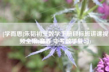 [学而思]朱韬初三数学下册目标班讲课视频全集(寒春 中考数学复习)