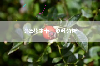 2022花生十三资料分析