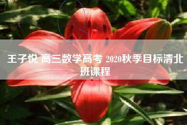 王子悦 高三数学高考 2020秋季目标清北班课程