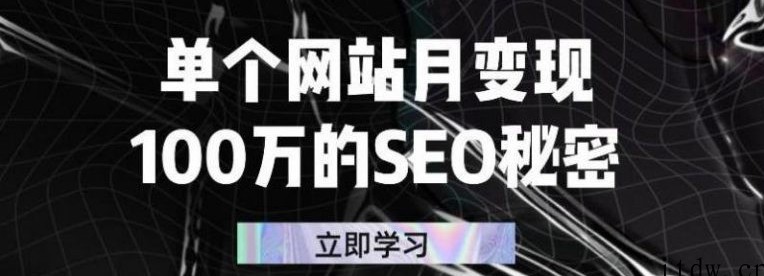 单个网站月变现100万的SEO秘密，百分百做出赚钱站点