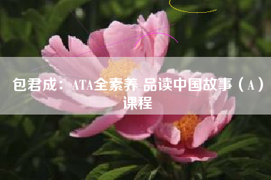 包君成：ATA全素养 品读中国故事（A）课程