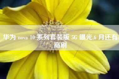 华为 nova 10 系列套装版 5G 曝光,6 月还有高刷