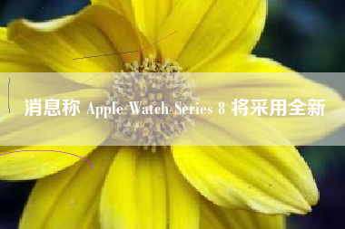 消息称 Apple Watch Series 8 将采用全新