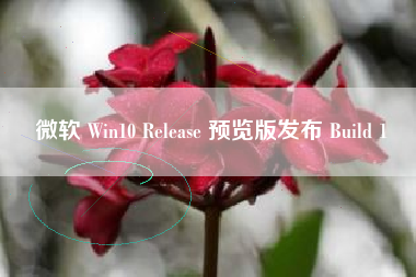 微软 Win10 Release 预览版发布 Build 1