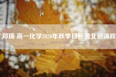 郑瑞 高一化学2020年秋季目标清北班课程