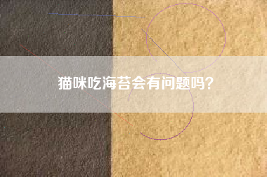 猫咪吃海苔会有问题吗？